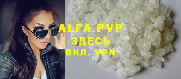 твердый Новодвинск