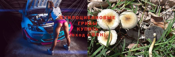 кокс Алзамай