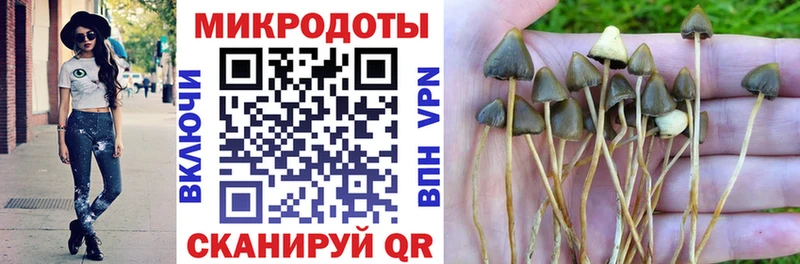 Галлюциногенные грибы GOLDEN TEACHER дарк нет формула Каневская